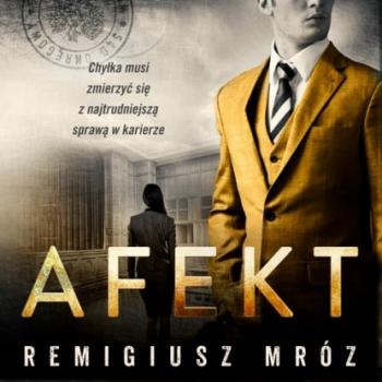Читать Afekt - Remigiusz Mróz