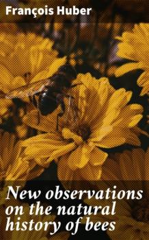 Читать New observations on the natural history of bees - François Huber