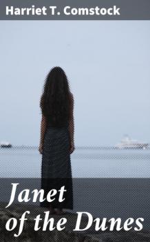 Читать Janet of the Dunes - Harriet T. Comstock