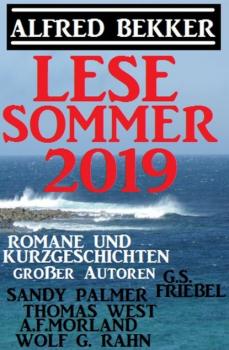 Читать Lesesommer 2019 - Romane und Kurzgeschichten großer Autoren - Sandy Palmer