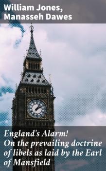 Читать England's Alarm! On the prevailing doctrine of libels as laid by the Earl of Mansfield - William Jones