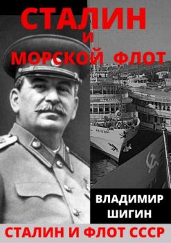 Читать Сталин и морской флот СССР - Владимир Шигин