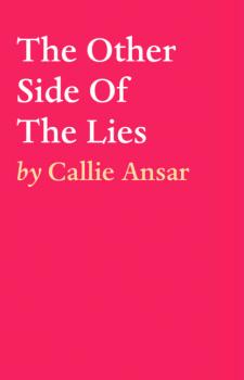 Читать The Other Side Of The Lies - Callie Ansar