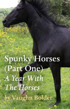 Читать Spunky Horses (Part One) - A Year With The Horses - Vaughn Bolder