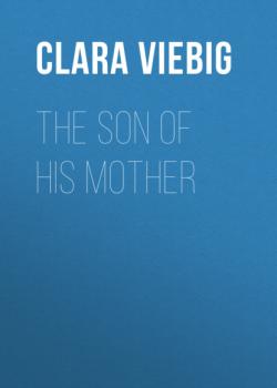 Читать The Son of His Mother - Clara Viebig