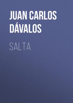 Читать Salta - Juan Carlos Dávalos