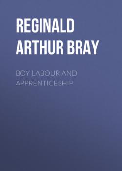 Читать Boy Labour and Apprenticeship - Reginald Arthur Bray