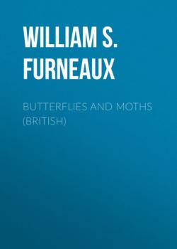 Читать Butterflies and Moths (British) - William S. Furneaux