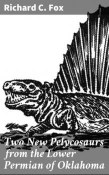 Читать Two New Pelycosaurs from the Lower Permian of Oklahoma - Richard C. Fox