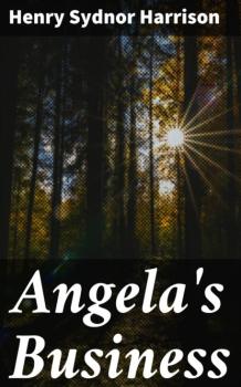 Читать Angela's Business - Henry Sydnor Harrison