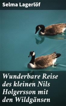 Читать Wunderbare Reise des kleinen Nils Holgersson mit den Wildgänsen - Selma Lagerlöf
