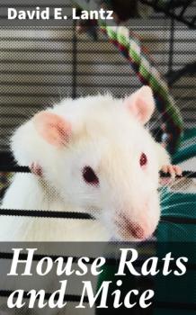 Читать House Rats and Mice - David E. Lantz