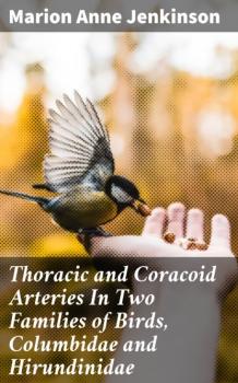 Читать Thoracic and Coracoid Arteries In Two Families of Birds, Columbidae and Hirundinidae - Marion Anne Jenkinson