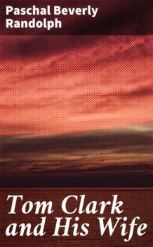 Читать Tom Clark and His Wife - Paschal Beverly Randolph