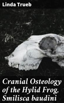 Читать Cranial Osteology of the Hylid Frog, Smilisca baudini - Linda Trueb