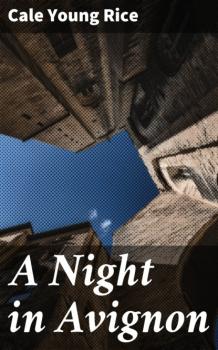 Читать A Night in Avignon - Cale Young Rice