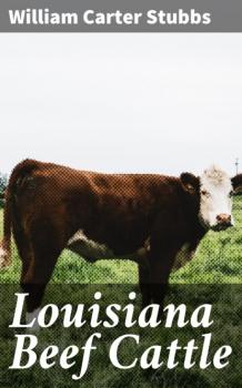 Читать Louisiana Beef Cattle - William Carter Stubbs