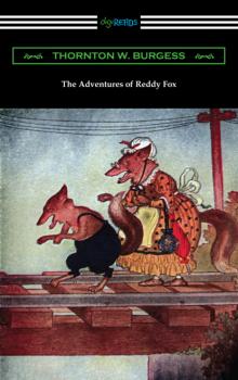 Читать The Adventures of Reddy Fox - Thornton W. Burgess