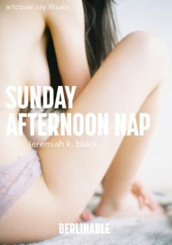 Читать A Sunday Afternoon Nap - Jeremiah K. Black