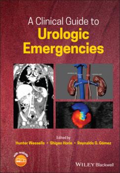 Читать A Clinical Guide to Urologic Emergencies - Группа авторов