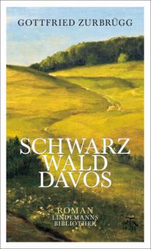 Читать Schwarzwalddavos - Gottfried Zurbrügg