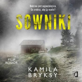 Читать Sowniki - Kamila Bryksy