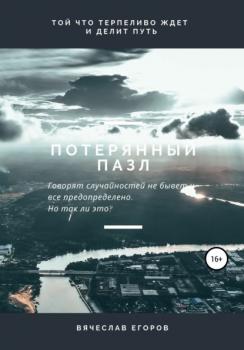 Читать Потерянный пазл - Вячеслав Анатольевич Егоров