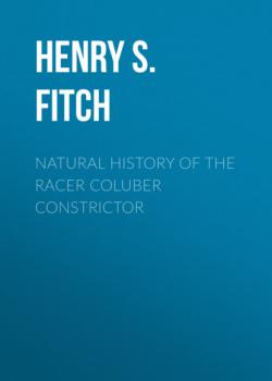 Читать Natural History of the Racer Coluber constrictor - Henry S. Fitch