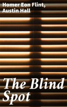 Читать The Blind Spot - Homer Eon Flint