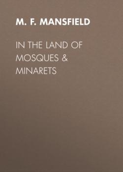 Читать In the Land of Mosques & Minarets - M. F. Mansfield