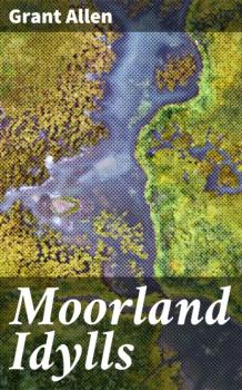 Читать Moorland Idylls - Allen Grant