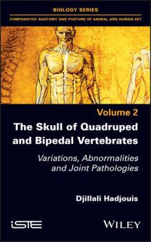 Читать The Skull of Quadruped and Bipedal Vertebrates - Djillali Hadjouis