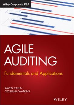 Читать Agile Auditing - Raven Catlin