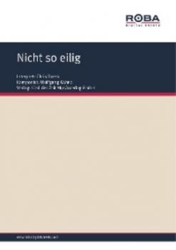 Читать Nicht so eilig - Wolfgang Kähne