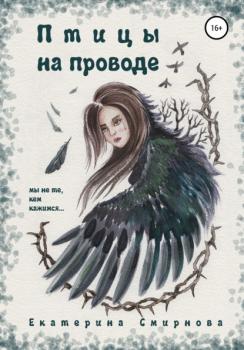 Читать Птицы на проводе - Екатерина Смирнова