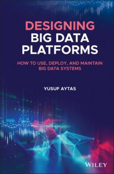 Читать Designing Big Data Platforms - Yusuf Aytas
