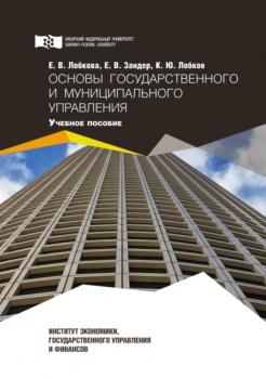 Читать Основы государственного и муниципального управления - Е. В. Зандер