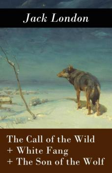 Читать The Call of the Wild + White Fang + The Son of the Wolf (3 Unabridged Classics) - Jack London