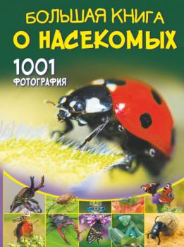 Читать Большая книга о насекомых. 1001 фотография - А. А. Спектор