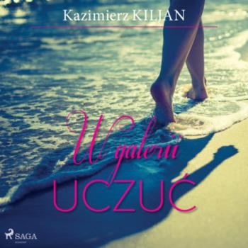 Читать W galerii uczuć - Kazimierz Kiljan