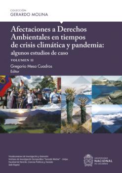 Читать Afectaciones a Derechos Ambientales en tiempos de crisis climática y pandemia: algunos estudios de caso, volumen II - Luis Fernando Sánchez Supelano