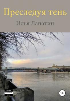 Читать Преследуя тень - Илья Лапатин