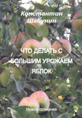Что делать с большим урожаем яблок? - Константин Шабунин