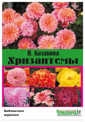 Хризантемы - Н. Казакова