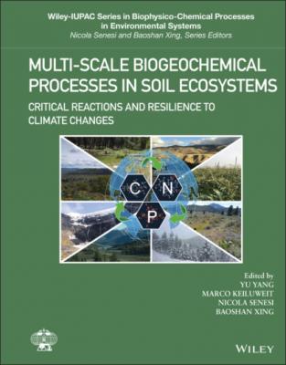 Multi-Scale Biogeochemical Processes in Soil Ecosystems - Группа авторов