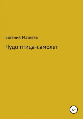 Чудо птица-самолет - Евгений Матвеев