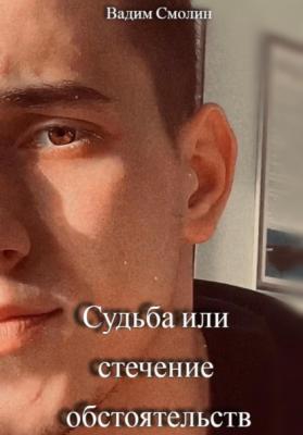 Судьба или стечение обстоятельств - Вадим Сергеевич Смолин