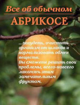 Все об обычном абрикосе - Иван Дубровин
