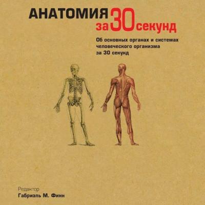 Анатомия за 30 секунд - Коллектив авторов