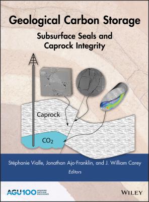 Geological Carbon Storage. Subsurface Seals and Caprock Integrity - Jonathan  Ajo-Franklin